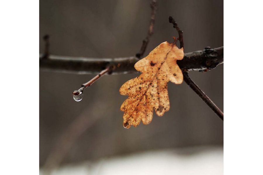 Объектив Flektogon 2.4/35 MC Carl Zeiss Jena DDR