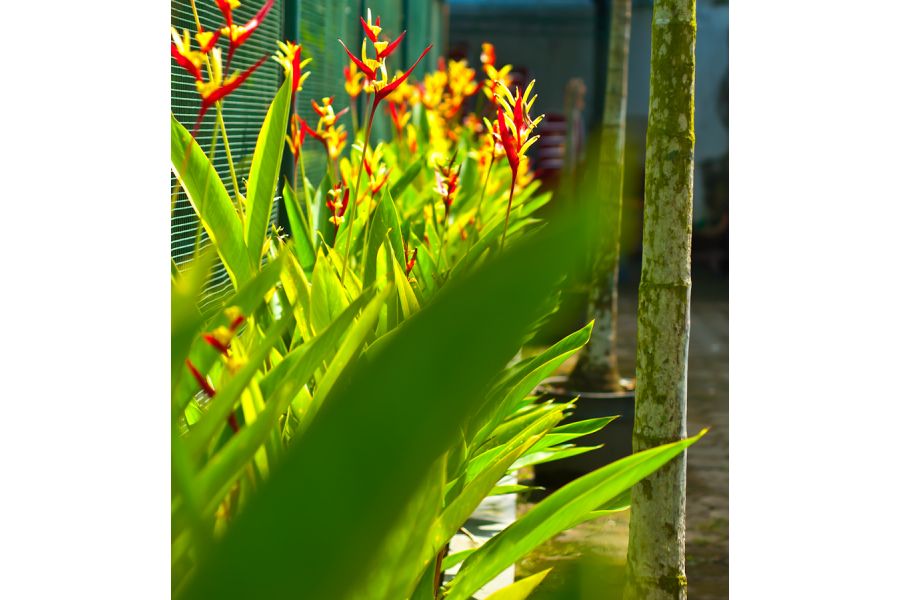 Объектив Nikon 50mm f/1.8D AF Nikkor (China, 2014)