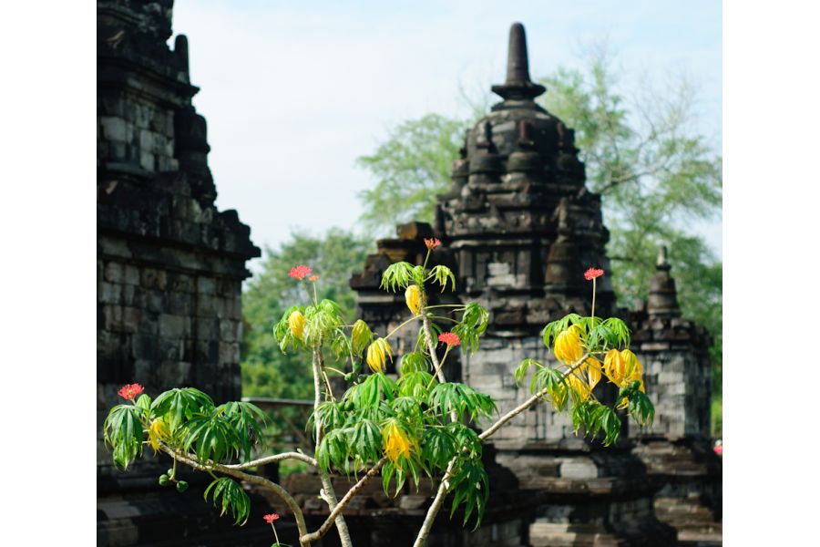 Объектив Nikon 50mm f/1.8D AF Nikkor (China, 2014)