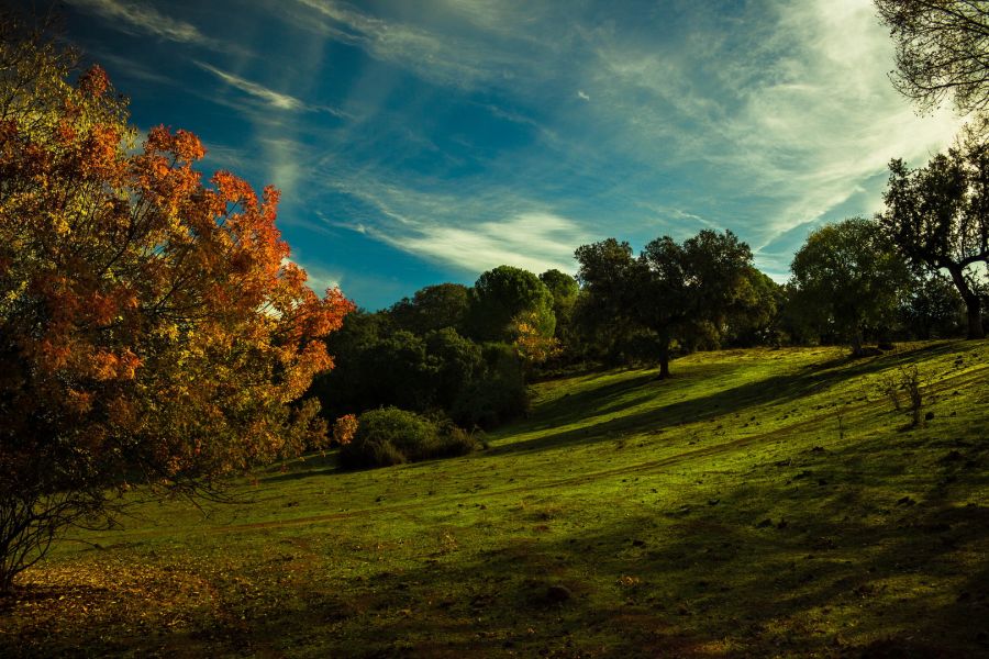 Canon EF-S 18-55mm 3.5-5.6 II стандартный объектив