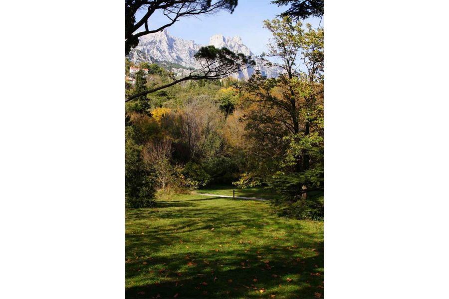 Объектив Sony DT 18-135mm f/3.5-5.6 SAM (SAL-18135)