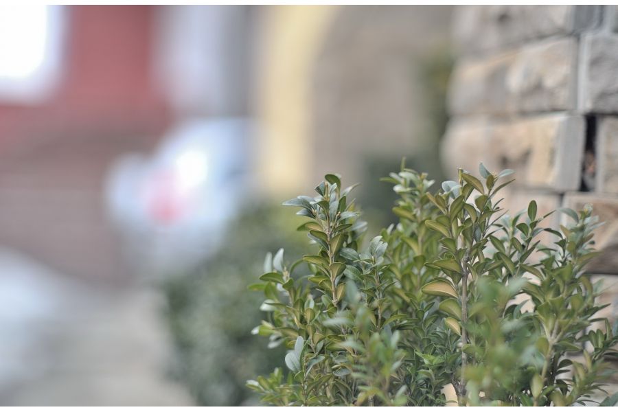 Советский объектив Юпитер-9 2/85 Contax RF / Киев