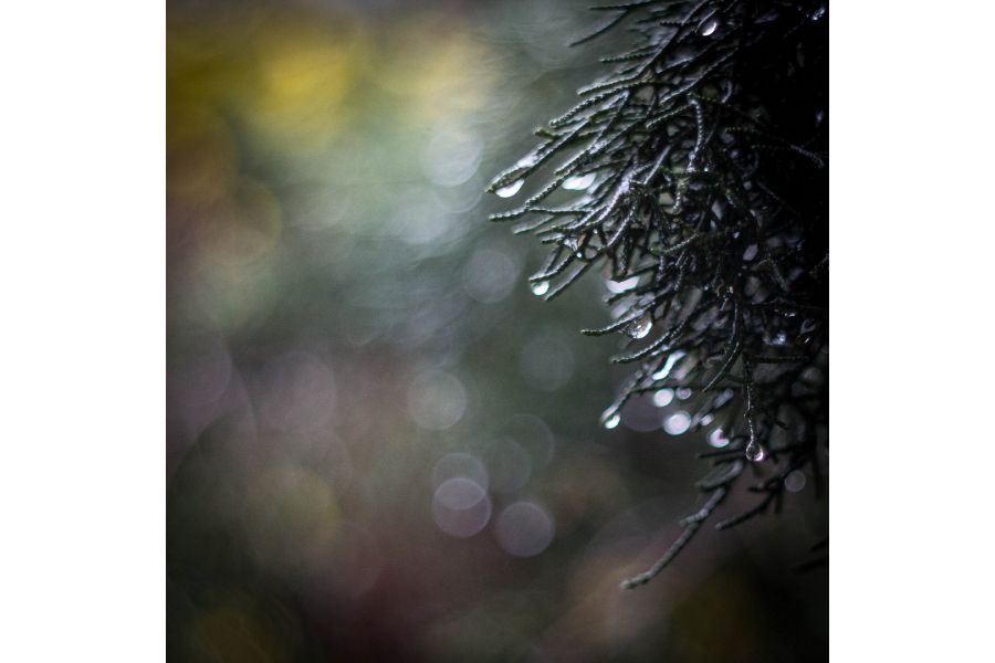 Волна-3 МС 2,8/80 для Nikon 