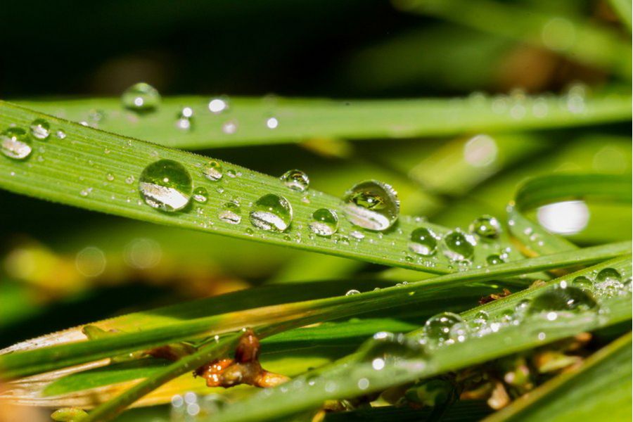 Индустар-26м f2.8/50mm для Sony Nex