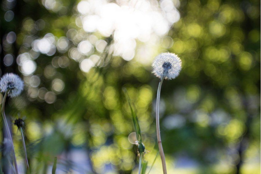 Индустар-26м f2.8/50mm для Sony Nex