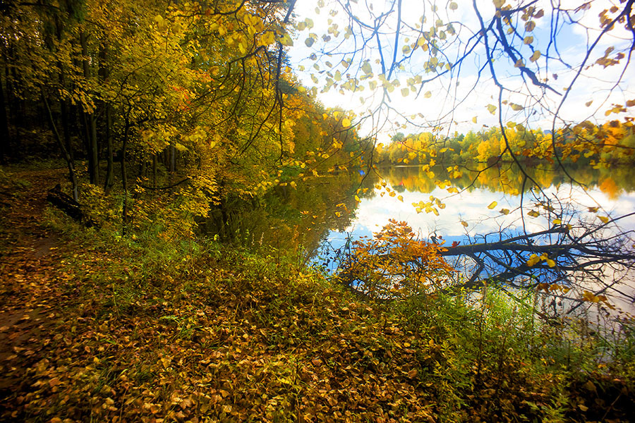 Объектив Flektogon 4/20 Carl Zeiss Jena DDR М42