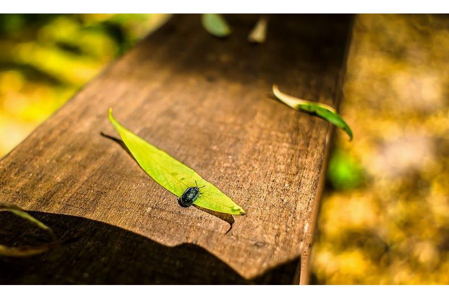 Объектив Мир-20Н МС 3,5/20 (CCCP, 1985)