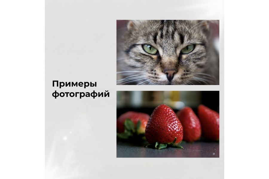 Объектив Макро Волна-9 МС 2,8/50 (СССР, 1987)