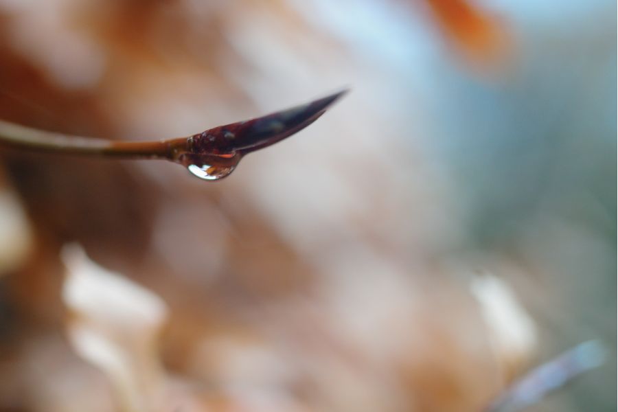 Объектив Макро Волна-9 МС 2,8/50 (СССР, 1987)