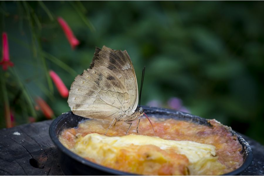 Мануальный советский объектив Гелиос-44М-5 МС 2/58 М42