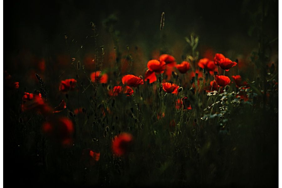 Длиннофокусный объектив Юпитер-36В 250mm f/3.5