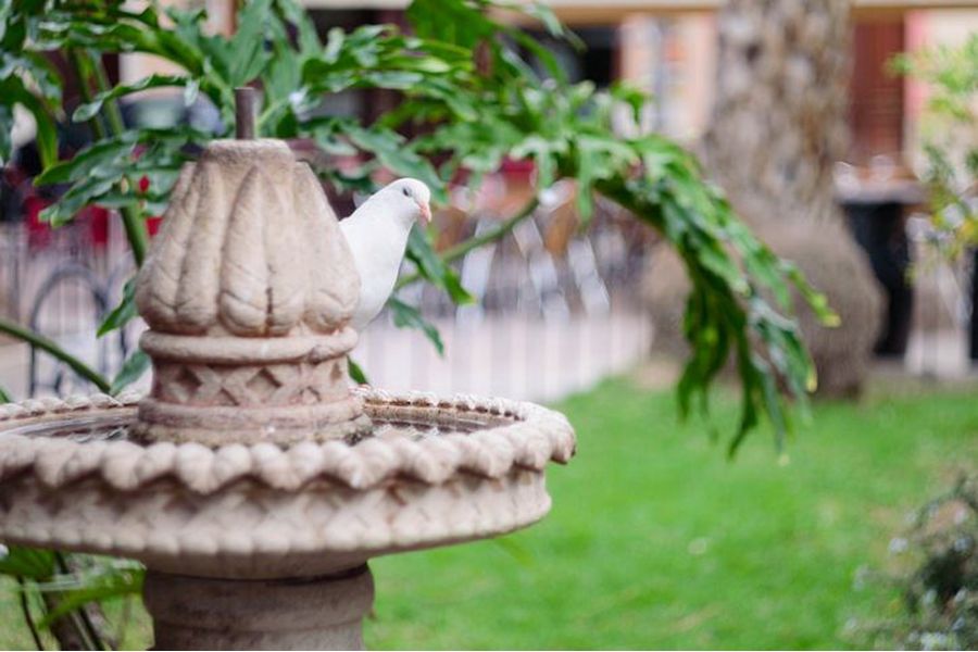 Гелиос 44-3 МС 2/58 (БелОМО, 1993)