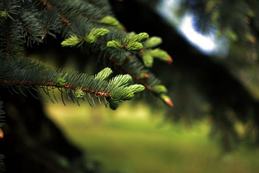 Гелиос 44-3 МС 2/58 (БелОМО, 1993)