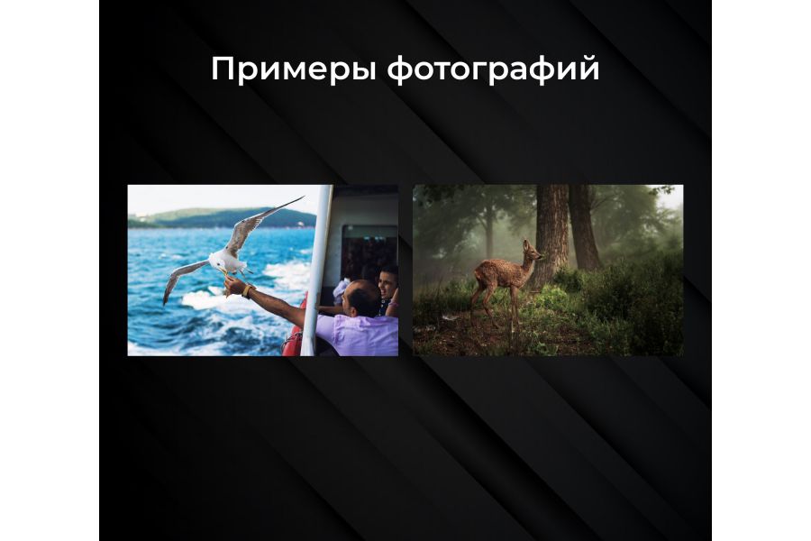 Стандартный фикс-объектив Canon EF 50mm f/1.8 II