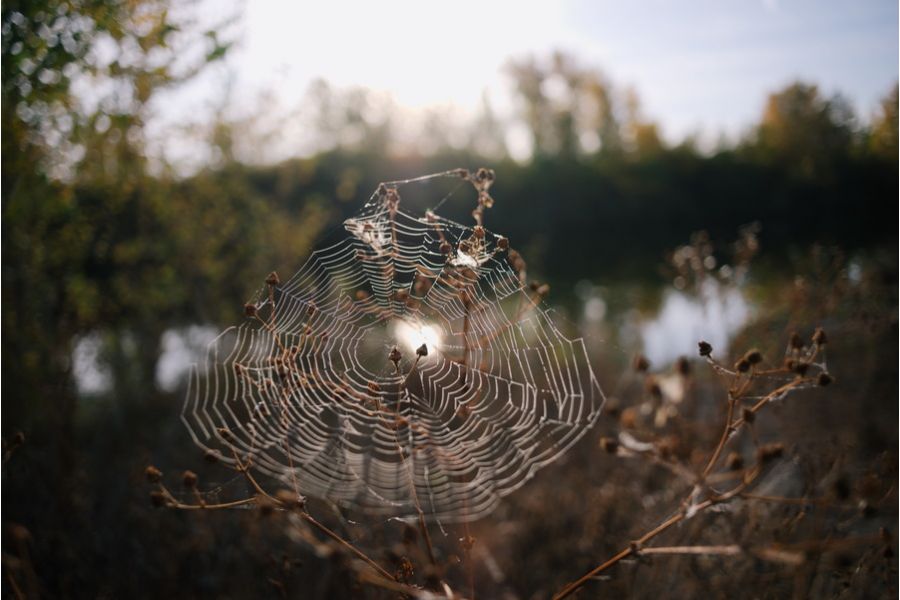 Distagon 2.8/28mm T* Carl Zeiss