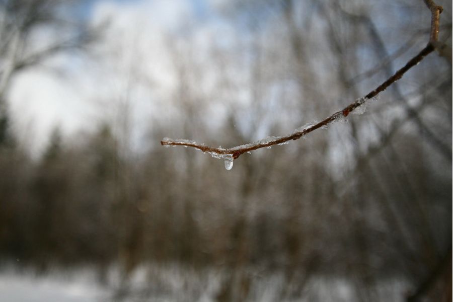 Объектив Tamron SP AF 17-35mm f/2.8-4 Di LD Aspherical (IF) A05 Nikon F