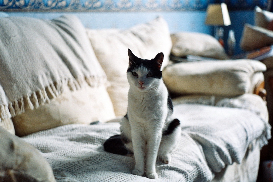 Дальномерная камера Киев 4М + Гелиос-103 f1.8/53