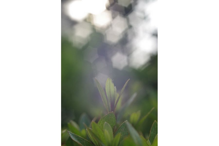 Макрообъектив Макро MC Волна-9 2.8/50мм М42 (СССР)