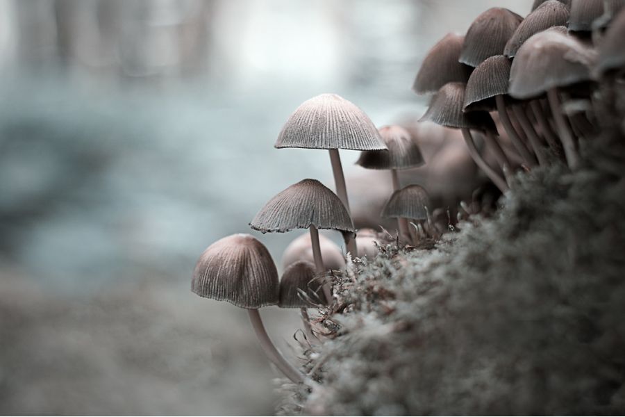 Мануальный советский объектив Гелиос-44М-6 МС 2/58 М42