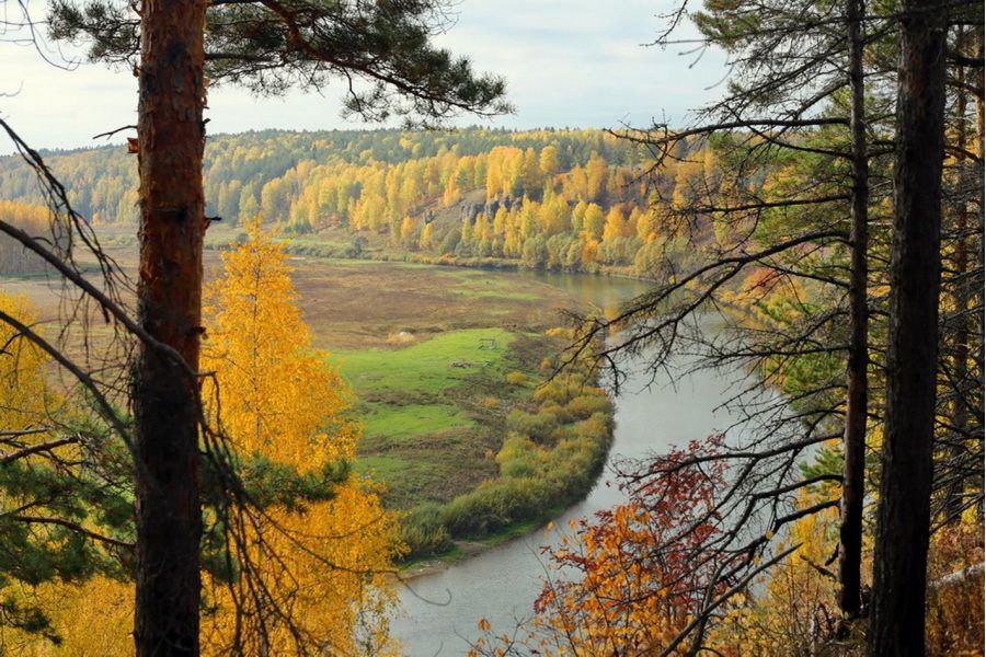 Светосильный объектив Зенитар-М2s МС 2/50