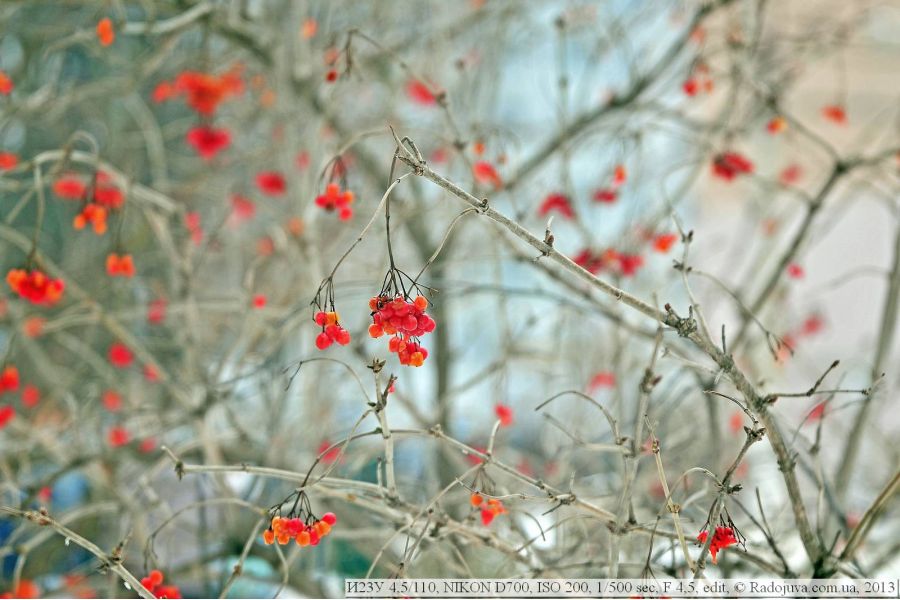 Объектив фотоувеличителя Индустар-23У 4.5/110 М39