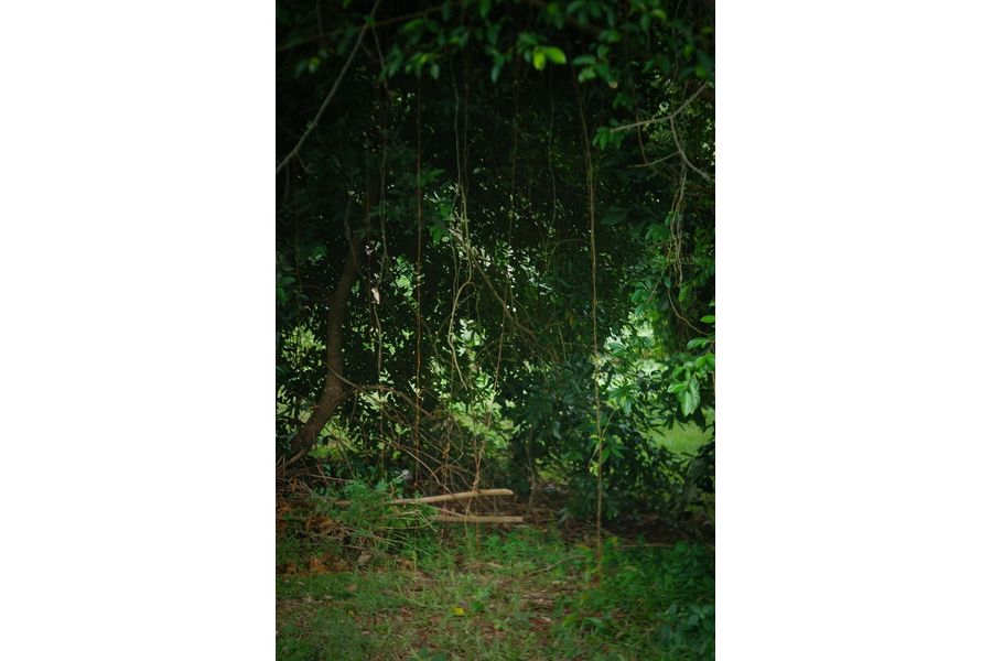 Индустар-22 П 3.5/50мм ригельный (КМЗ, 1951г.)