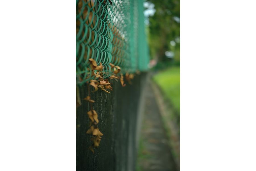 Индустар-22 П 3.5/50мм ригельный (КМЗ, 1951г.)