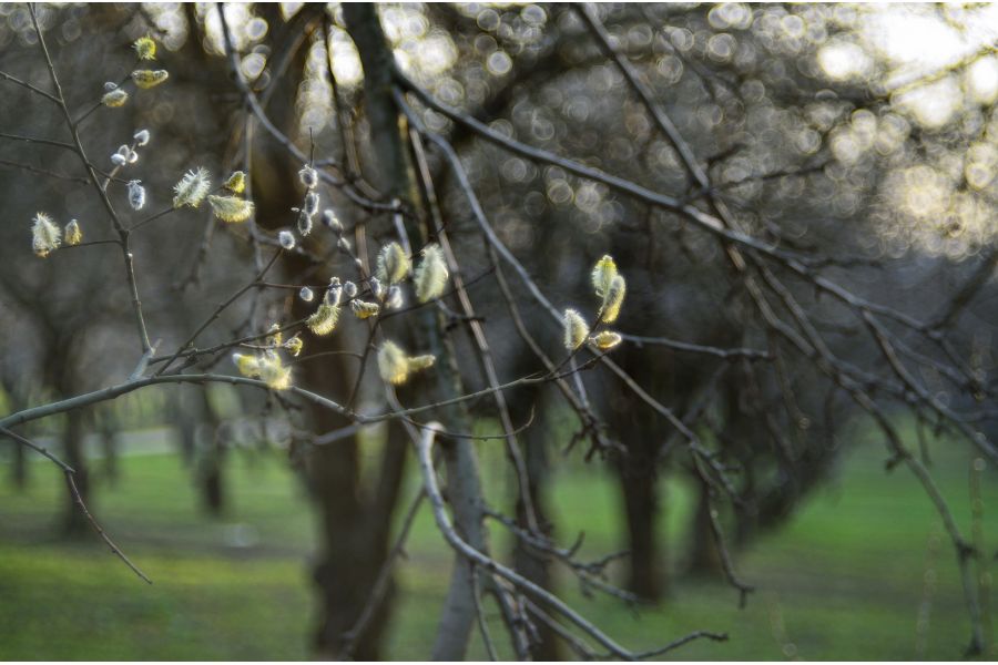 Объектив мануальный Индустар-50 3,5/50 (КМЗ, 1957)