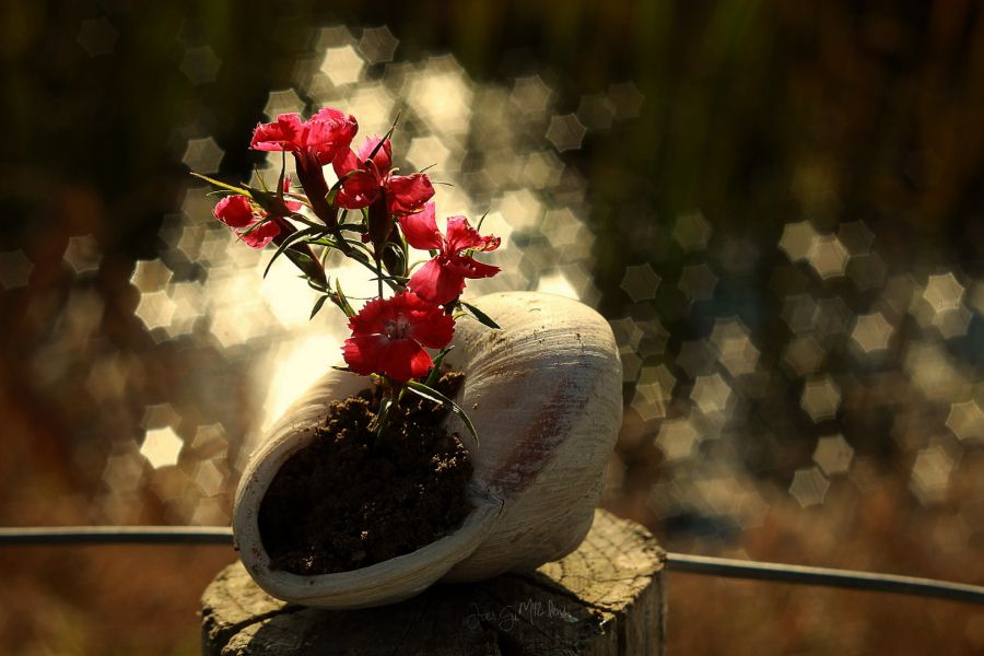 Супер макро объектив Индустар-61Л/З 2.8/50