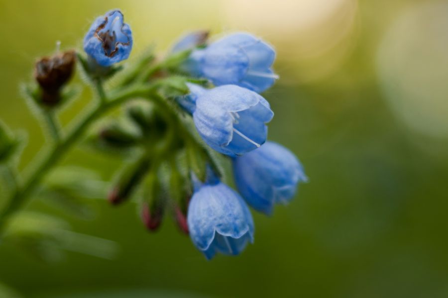 Супер макро объектив Индустар-61Л/З 2.8/50