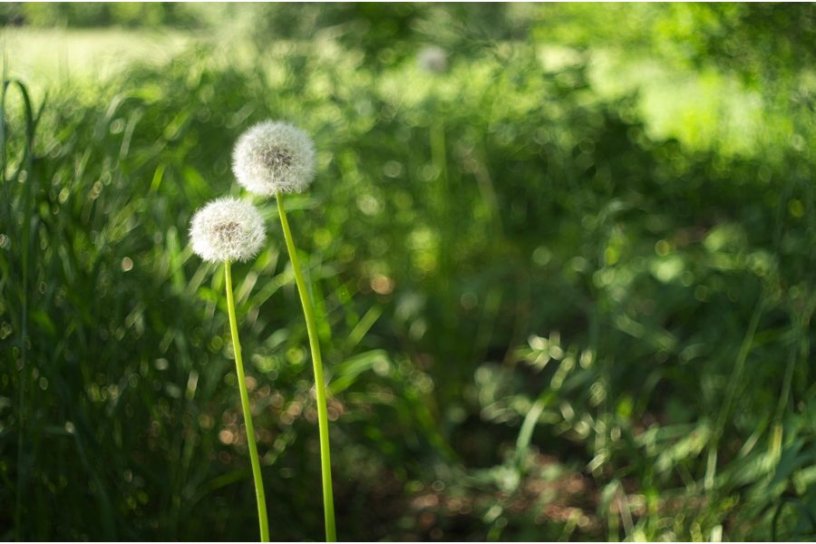 Новый Мир-1В 2,8/37мм, широкоугольник СССР