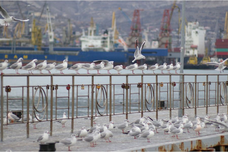 Объектив Таир 11А 2.8/135мм (СССР, 1986)