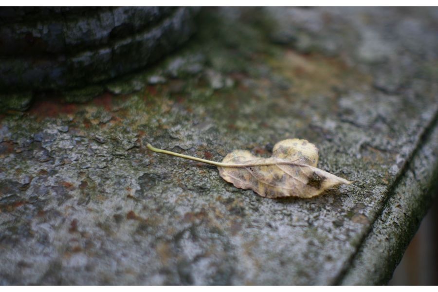 Юпитер-9 2/8,5см П (СССР, 1959)