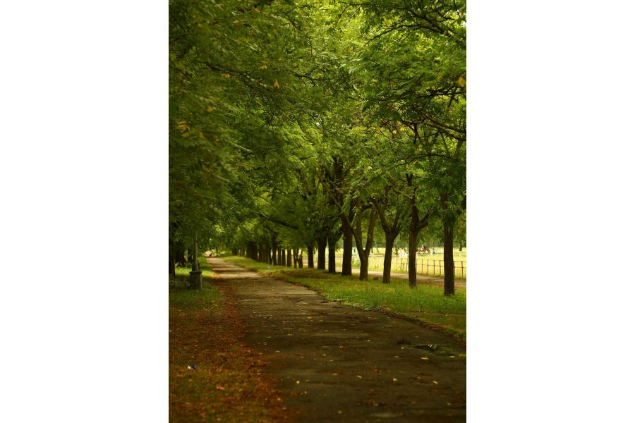 Юпитер-9 2/8,5см П (СССР, 1959)