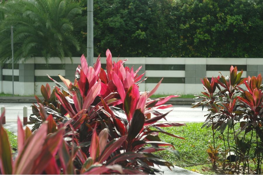 Редкость Индустар 10 f3.5/50 (1939г. в. - фэд нквд)