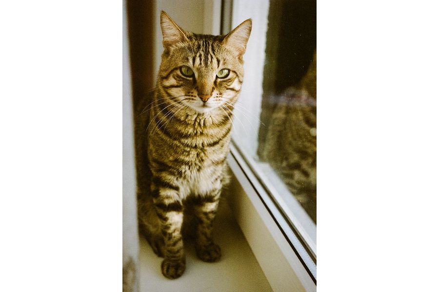 Редкость Индустар 10 f3.5/50 (1939г. в. - фэд нквд)