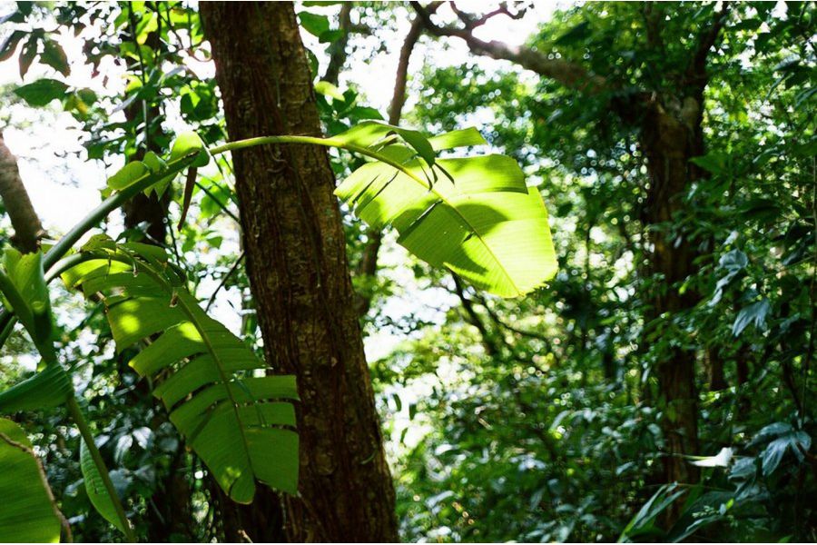 Юпитер-12 П 2,8/3,5см М39 (СССР, 1962)