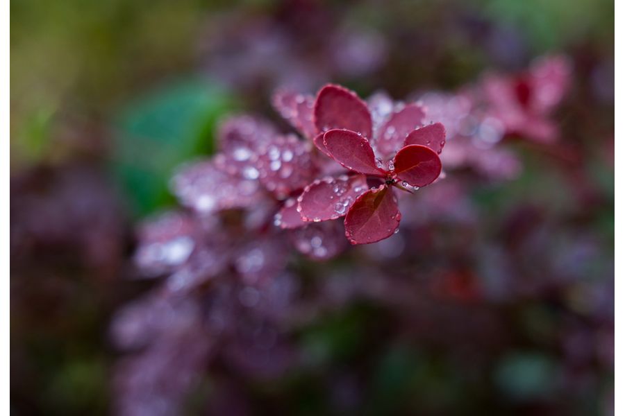 Юпитер-12 П 2,8/3,5см М39 (СССР, 1962)