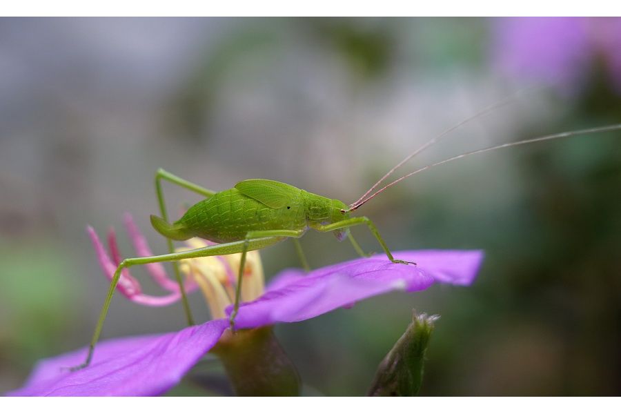 Широкоугольный Юпитер-12 2.8/35мм (СССР, 1989)