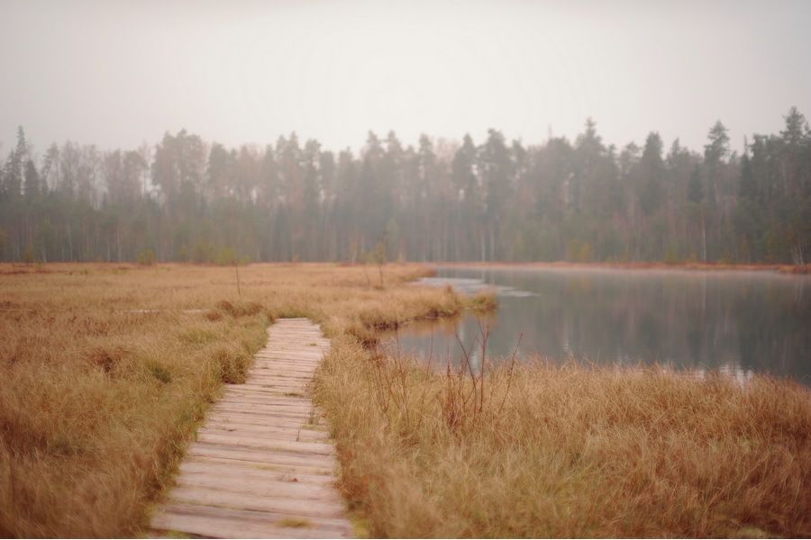 Светосильный Объектив Tair-11 2.8/133 (СССР, 1959)