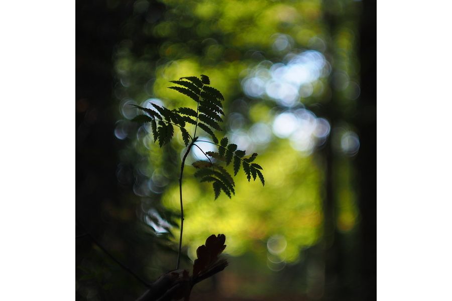 Советский мануальный объектив Гелиос 44М-4 f2/58mm