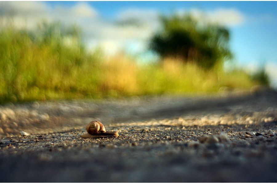 Новьй мануальный Юпитер-8 2/50 (СССР, 1979)