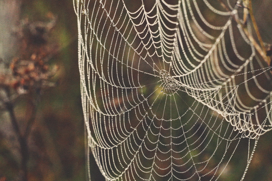 Новый советский объектив Гелиос 44-3 МС 2/58 (БелОМО, 1990)