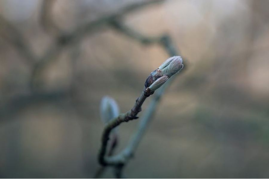 Макро Индустар 23У 4.5/110 для Nikon