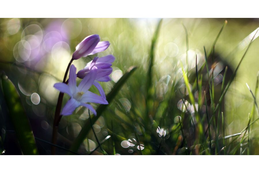 Гелиос-44 silver 2/58 для Fujifilm