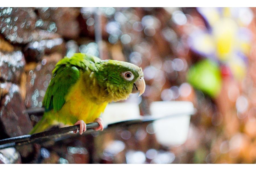 Гелиос-44М-6 МС 2/58 для Fujifilm (FX)