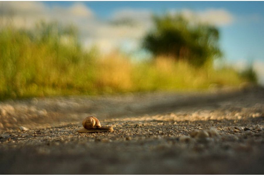 Юпитер 8 f2/50mm для Fujifilm FX