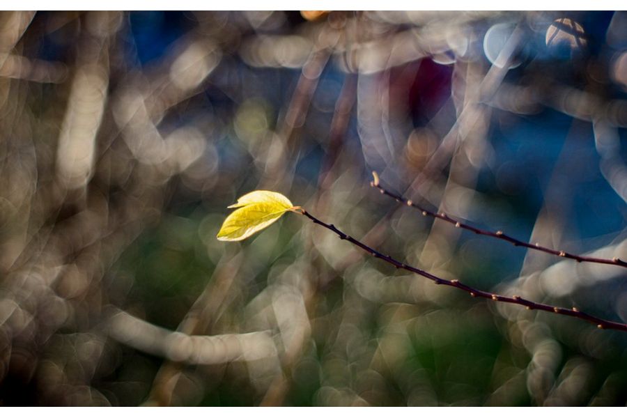 Юпитер 8 f2/50mm для Fujifilm FX