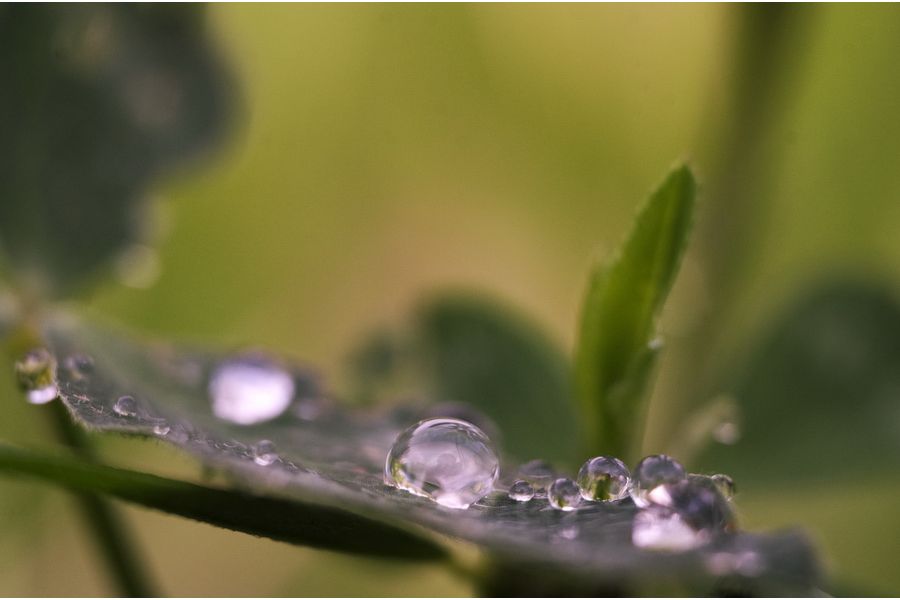 Гелиос 44М-6 2/58 для Canon EOS (1996)