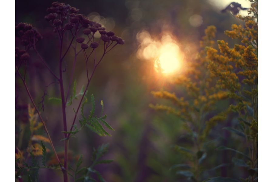 Индустар-50-2 3.5/50 для Canon EOS